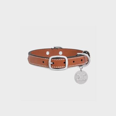 Small Thin Dog Collar in Triomphe Canvas and Calfskin