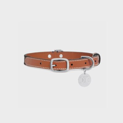 Thin Medium Dog Collar in Triomphe Canvas and Calfskin