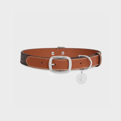 Wide Large Dog Collar in Triomphe Canvas and Calfskin