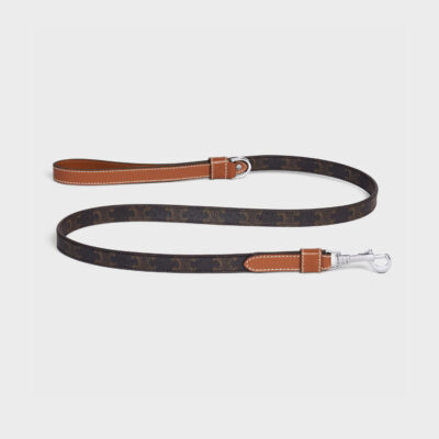 Thin Dog Leash in Triomphe Canvas and Calfskin