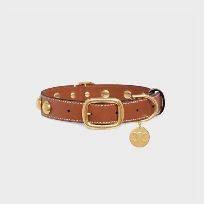 Wide Medium Dog Collar in Smooth Calfskin with Studs