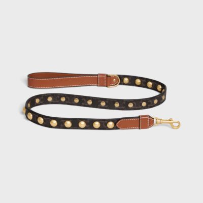 Wide Dog Leash in Triomphe Canvas and Calfskin with Studs