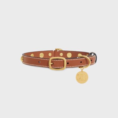 Medium Thin Dog Collar in Smooth Calfskin with Studs