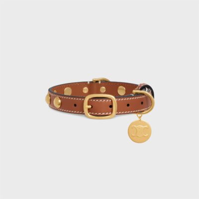 Small Thin Dog Collar in Smooth Calfskin with Studs